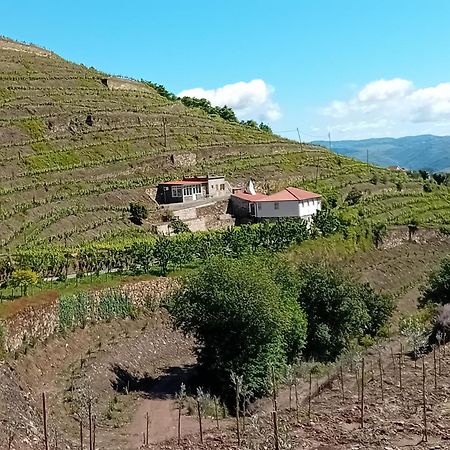 Casa Da Quinta Do Porto Villa Lamego Ngoại thất bức ảnh