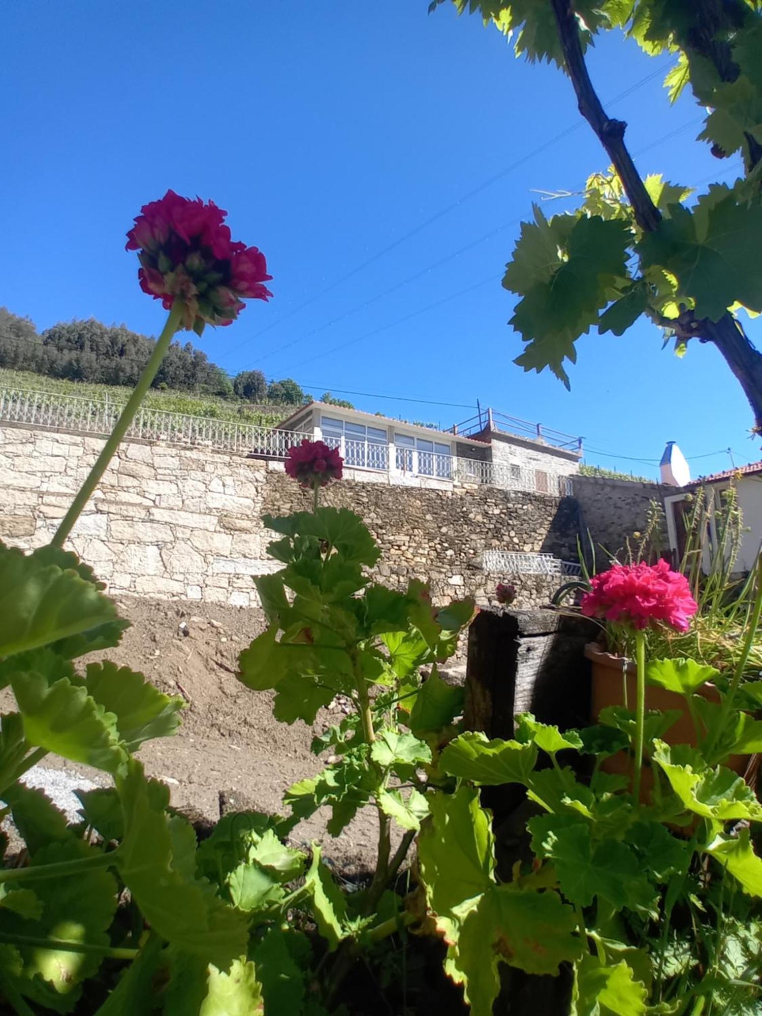 Casa Da Quinta Do Porto Villa Lamego Ngoại thất bức ảnh