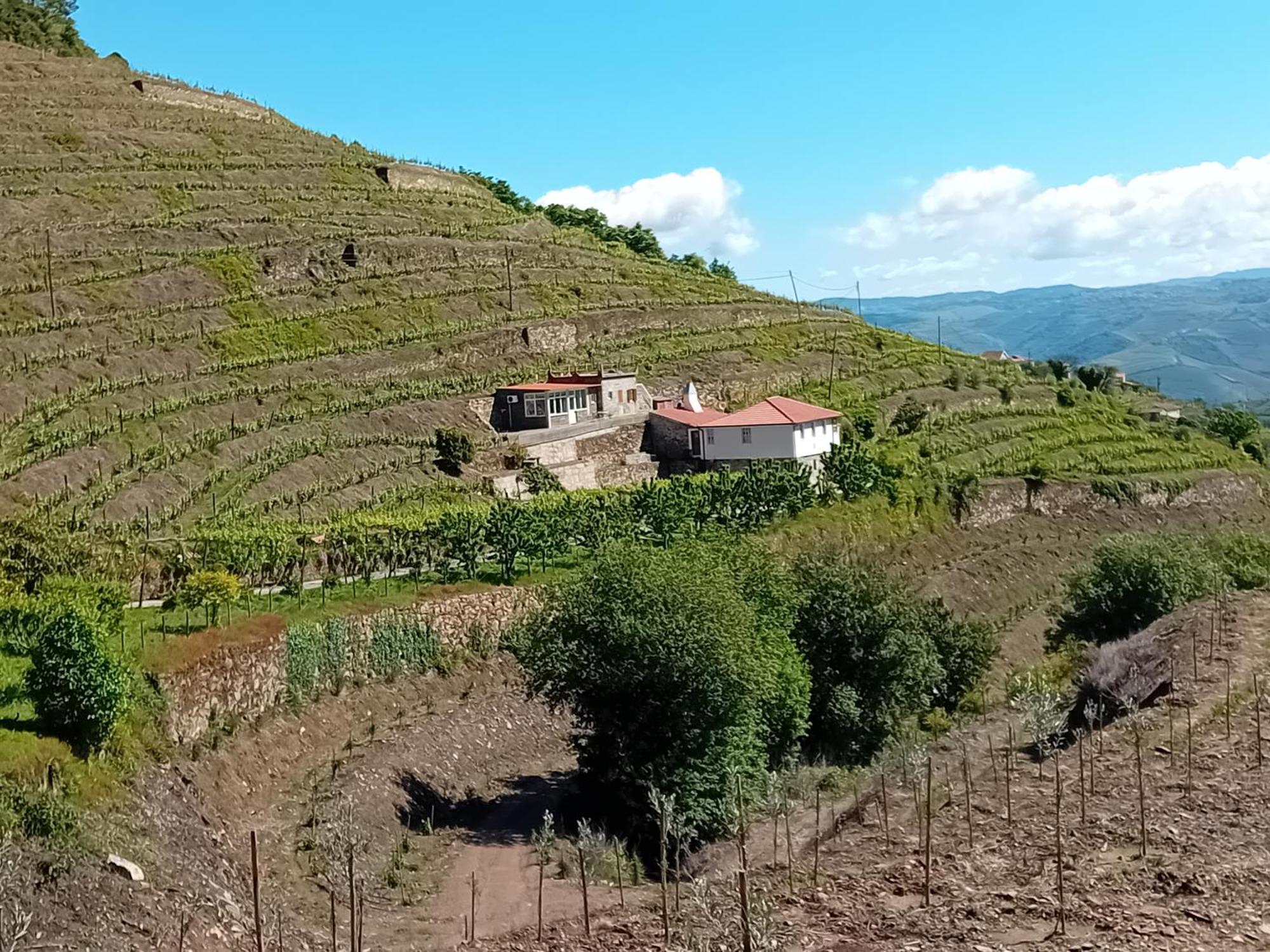 Casa Da Quinta Do Porto Villa Lamego Ngoại thất bức ảnh