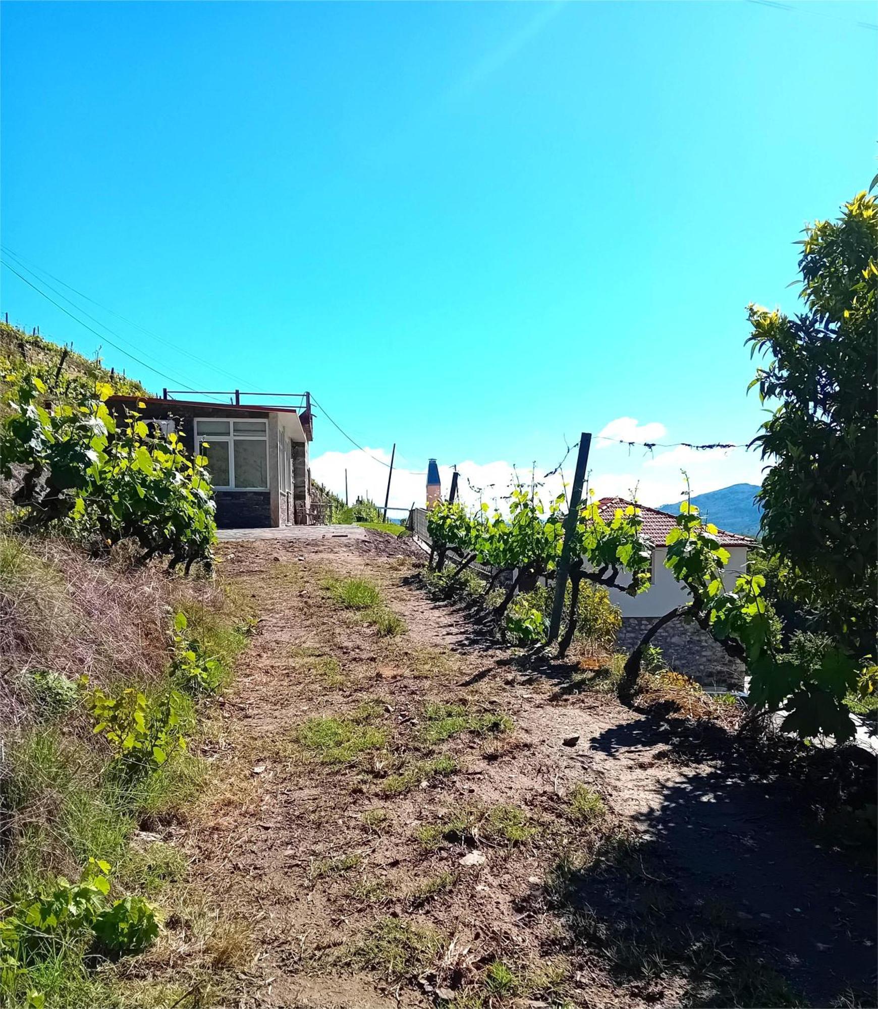 Casa Da Quinta Do Porto Villa Lamego Ngoại thất bức ảnh
