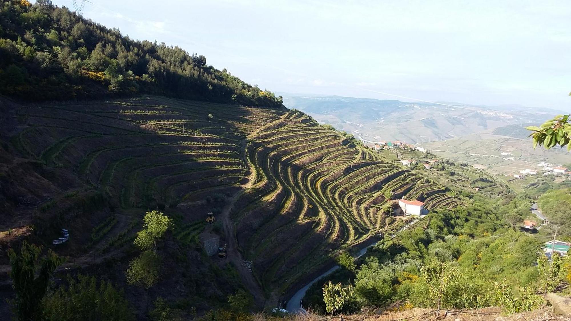 Casa Da Quinta Do Porto Villa Lamego Ngoại thất bức ảnh