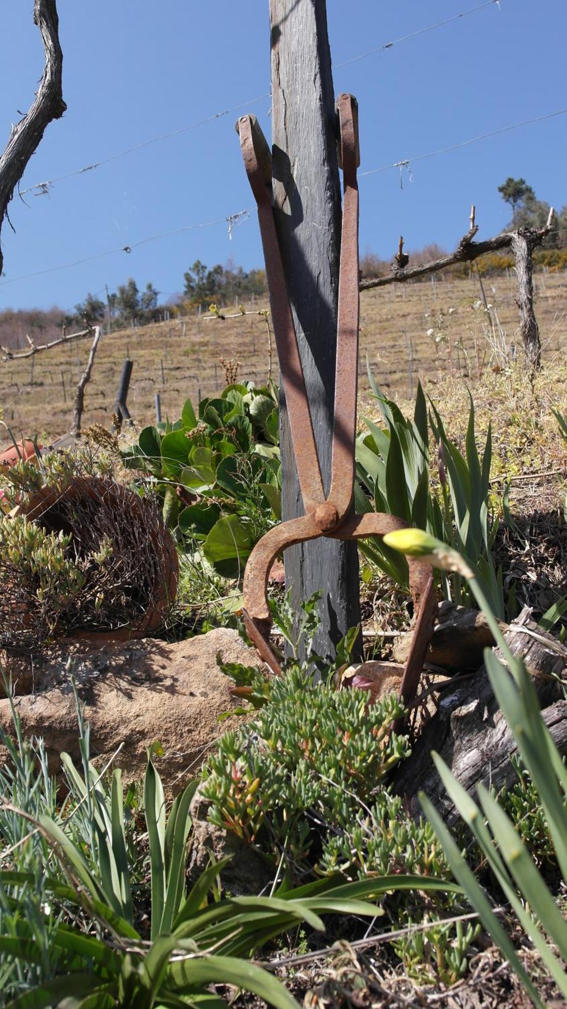 Casa Da Quinta Do Porto Villa Lamego Ngoại thất bức ảnh
