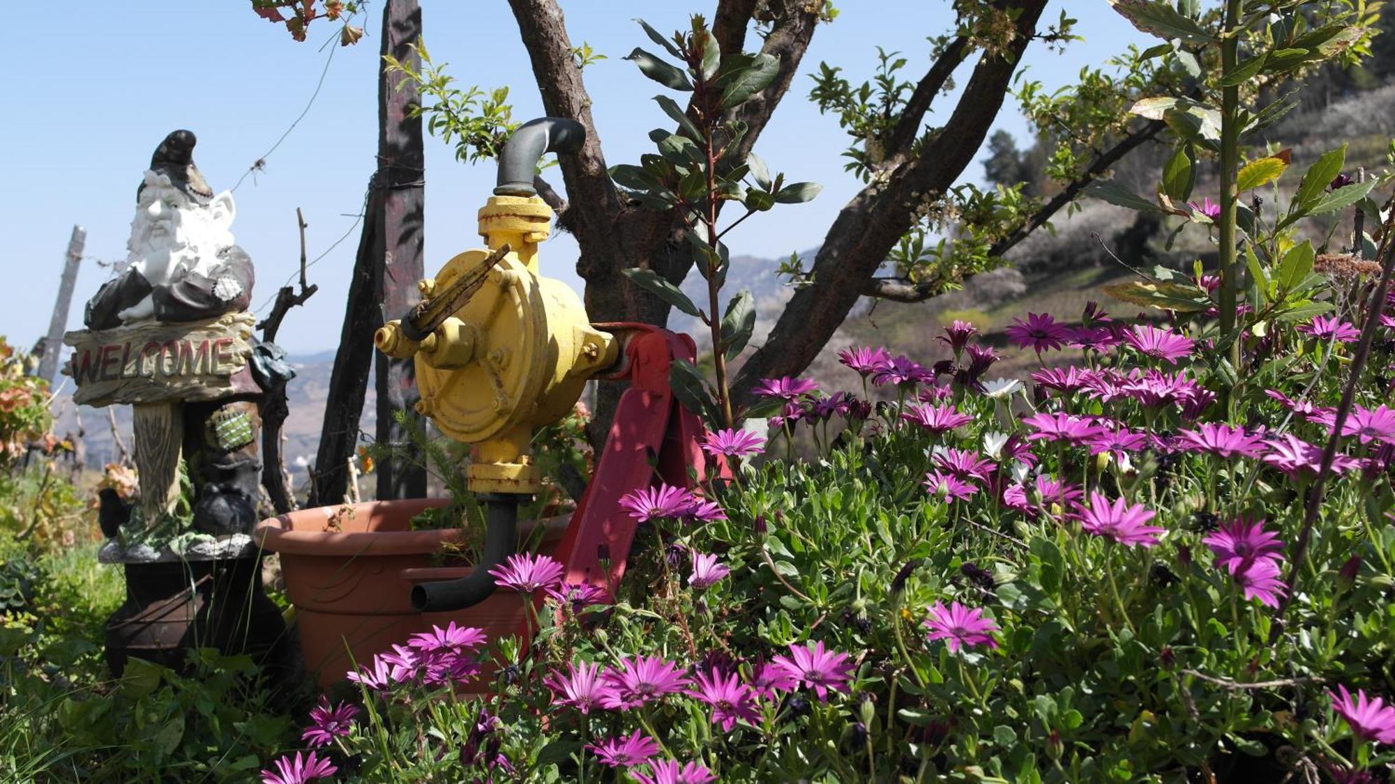 Casa Da Quinta Do Porto Villa Lamego Ngoại thất bức ảnh