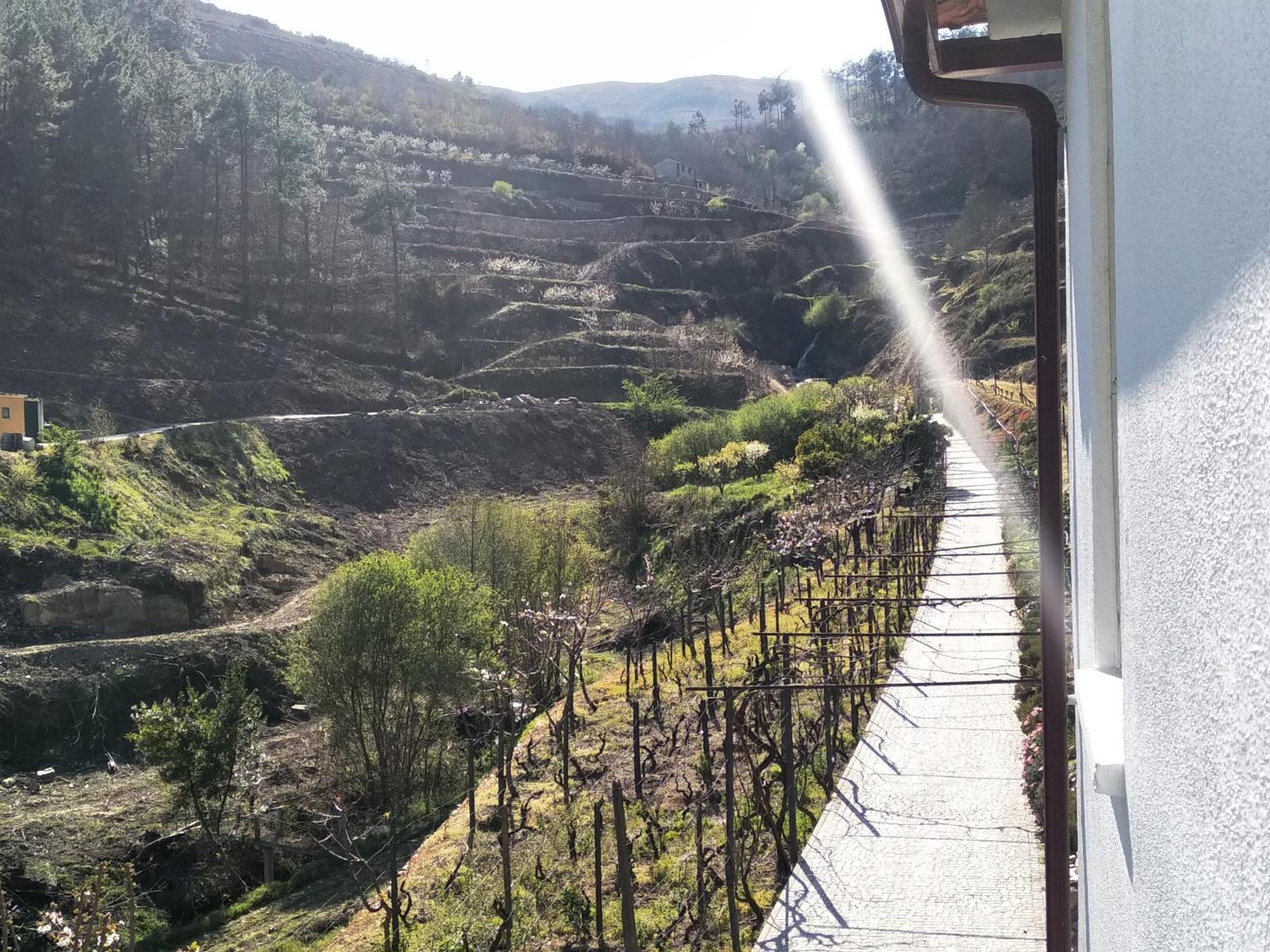 Casa Da Quinta Do Porto Villa Lamego Ngoại thất bức ảnh
