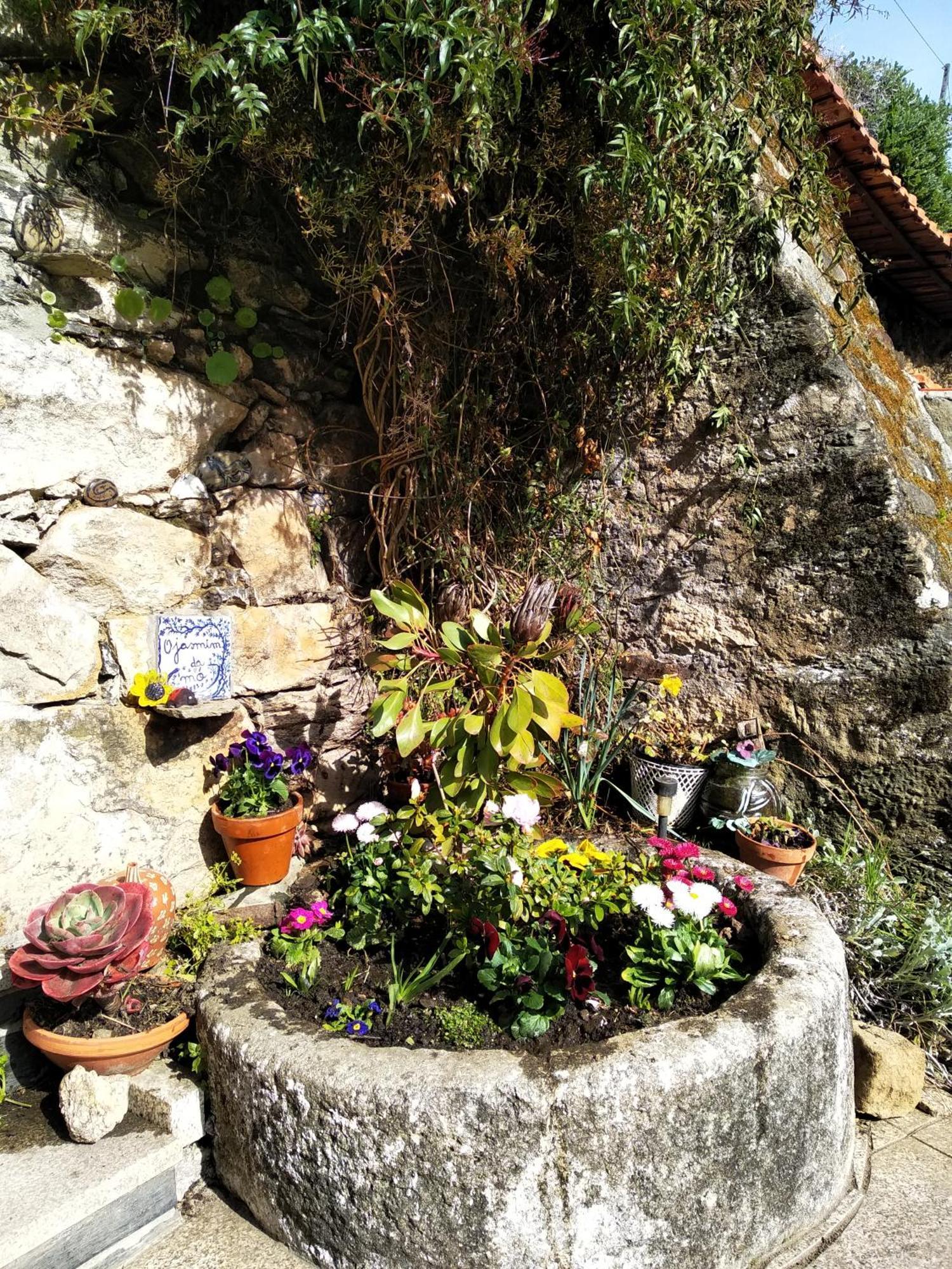 Casa Da Quinta Do Porto Villa Lamego Ngoại thất bức ảnh