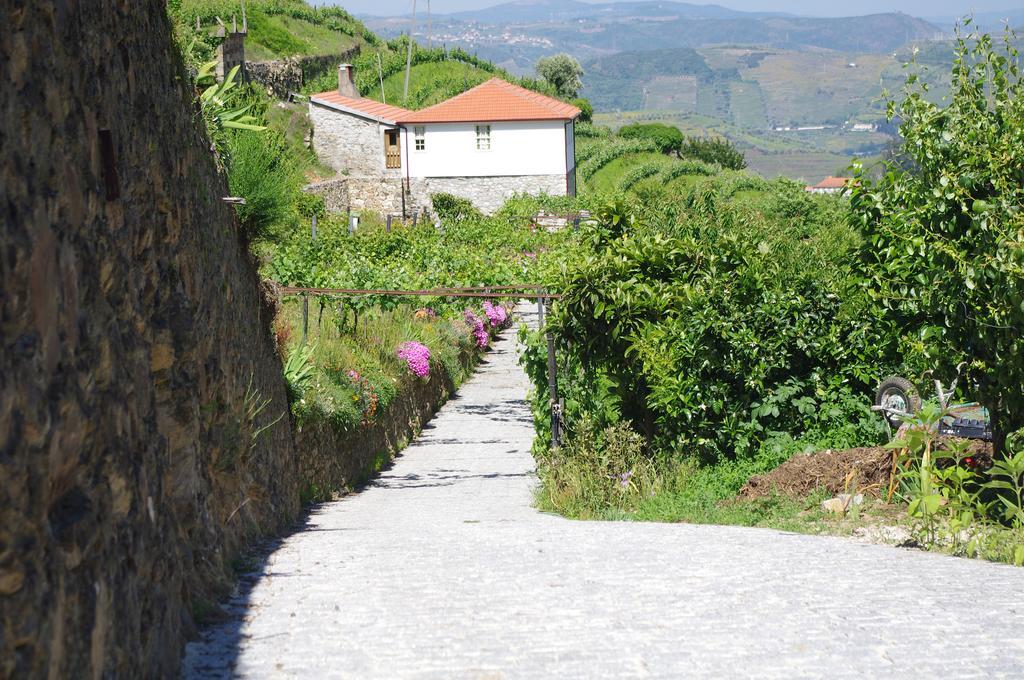 Casa Da Quinta Do Porto Villa Lamego Ngoại thất bức ảnh