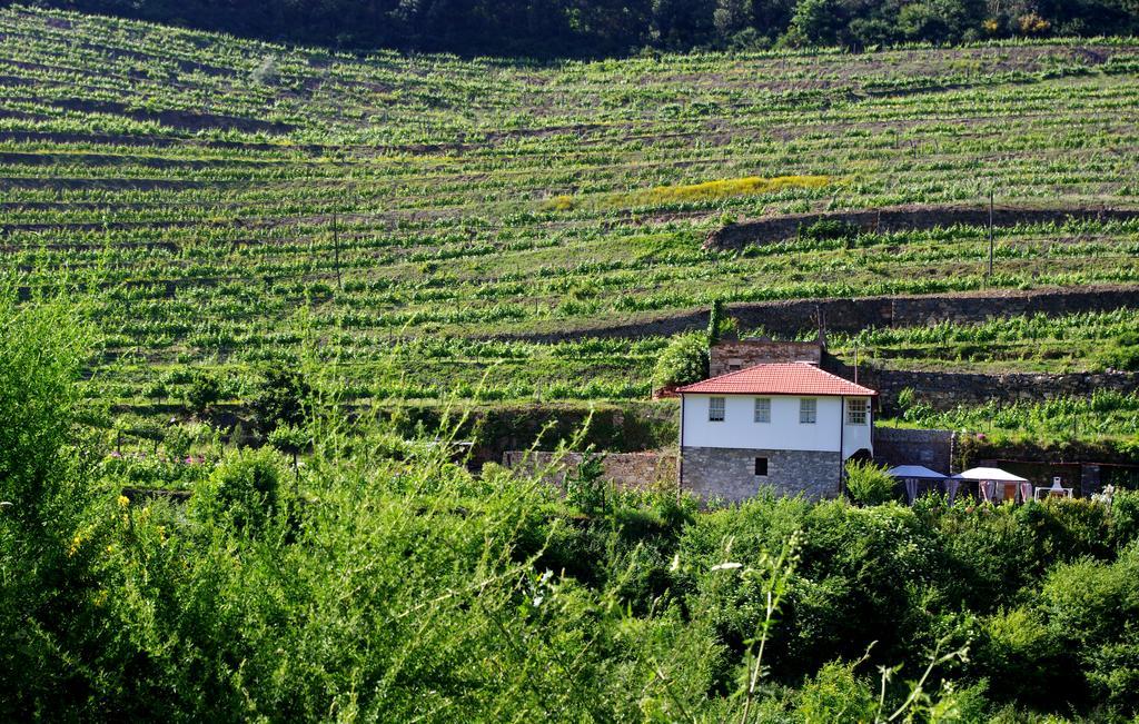 Casa Da Quinta Do Porto Villa Lamego Ngoại thất bức ảnh