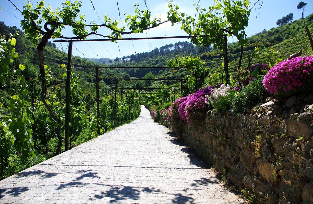 Casa Da Quinta Do Porto Villa Lamego Ngoại thất bức ảnh