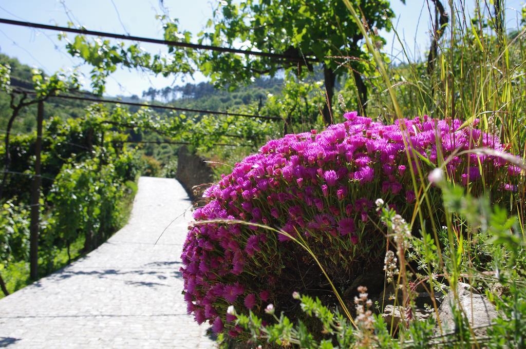 Casa Da Quinta Do Porto Villa Lamego Ngoại thất bức ảnh