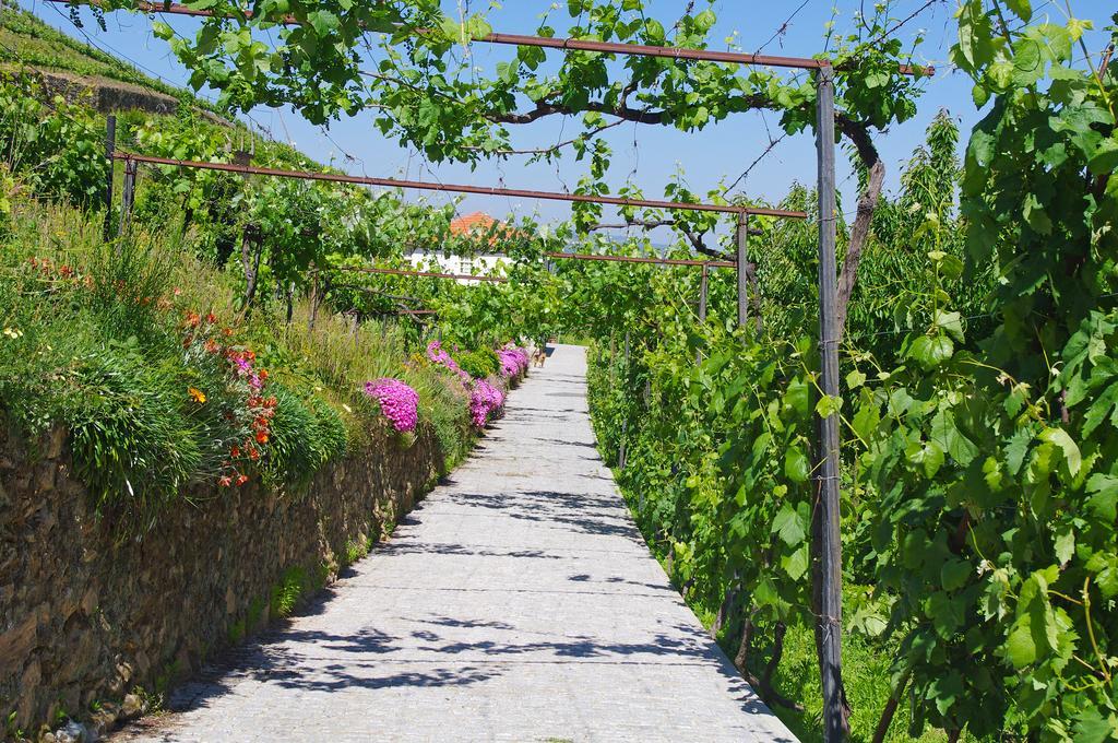 Casa Da Quinta Do Porto Villa Lamego Ngoại thất bức ảnh
